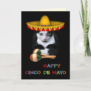 Happy Cinco De Mayo Cat Karte