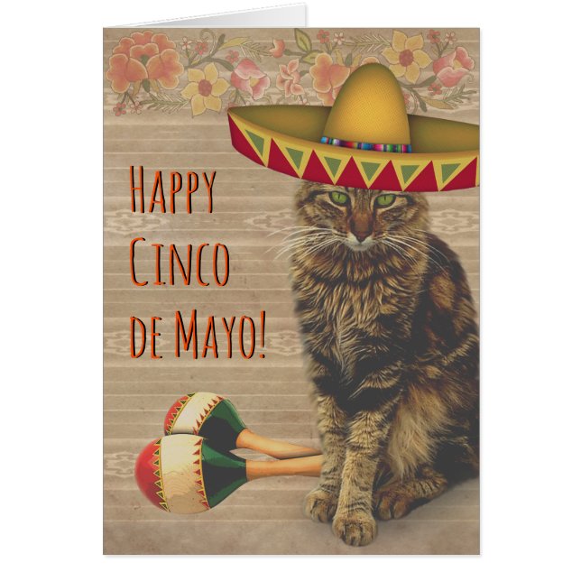 Happy Cinco de Mayo Cat mit mexikanischem Hut (Vorne)