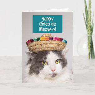 Happy Cinco De Mayo Funny Cat im Sombrero Spaß Feiertagskarte