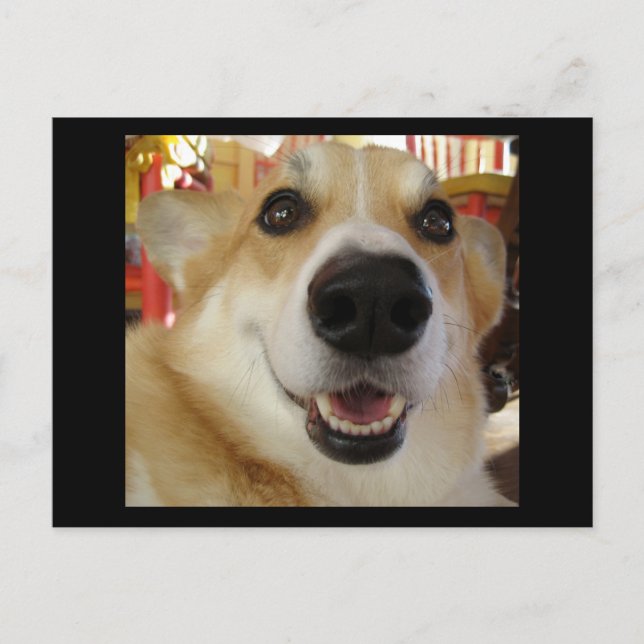 Happy Corgi Postcard Postkarte (Vorderseite)