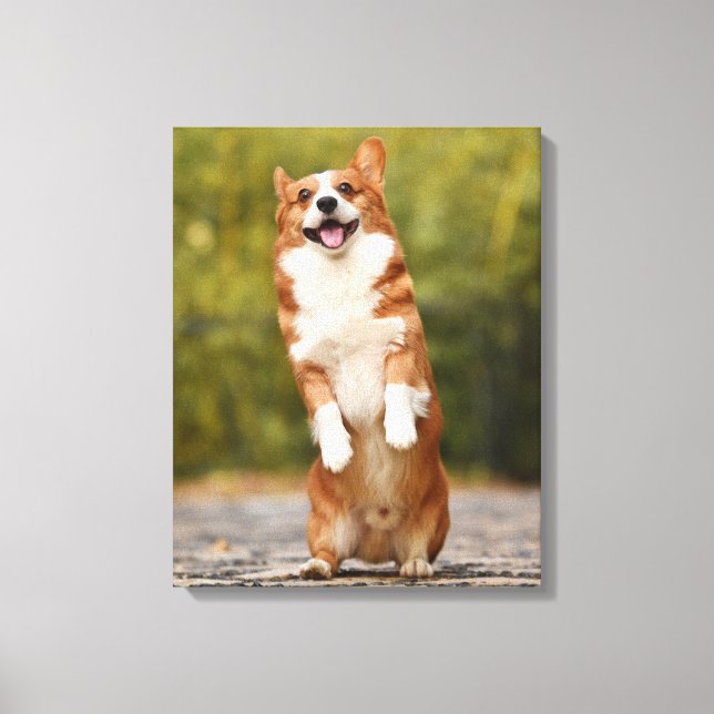 Happy Corgi Puppy Standing Photo Leinwanddruck (Vorderseite)