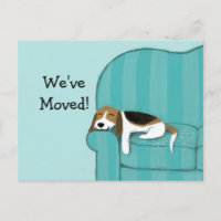 Happy Couch Beagle Niedlich Hunde Ankündigung Erin