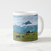 Happy Cows on Farm in Switzerland