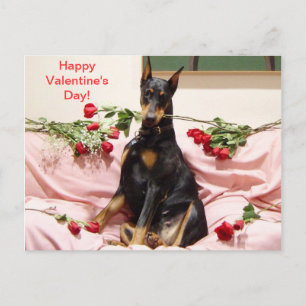 Happy Dober-Valentine für Sie Feiertagspostkarte