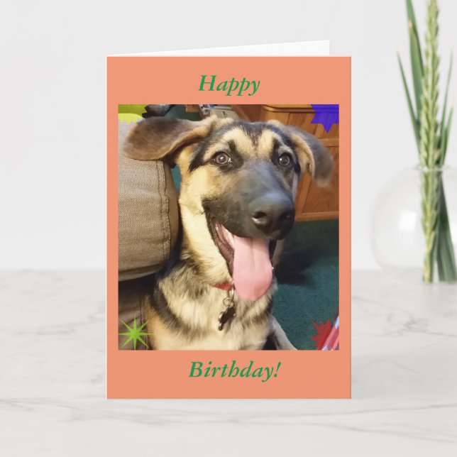 Happy Dog German Shepherd Birthday Card Karte (Vorderseite)