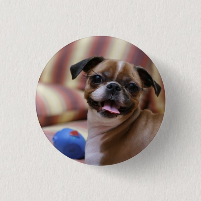 Happy Dog with Toy Button (Vorderseite)