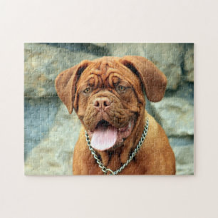 Happy Dogue de Bordeaux Puzzle
