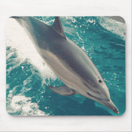 Happy Dolphin Mousepad
