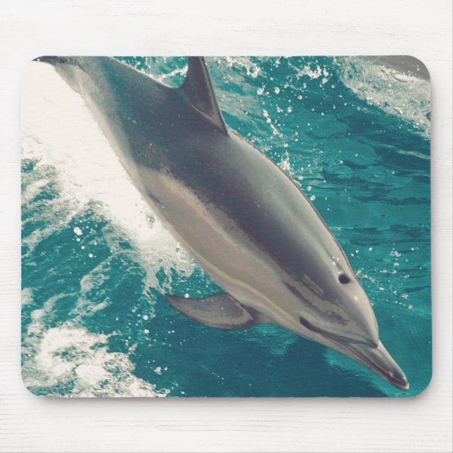 Happy Dolphin Mousepad (Vorne)