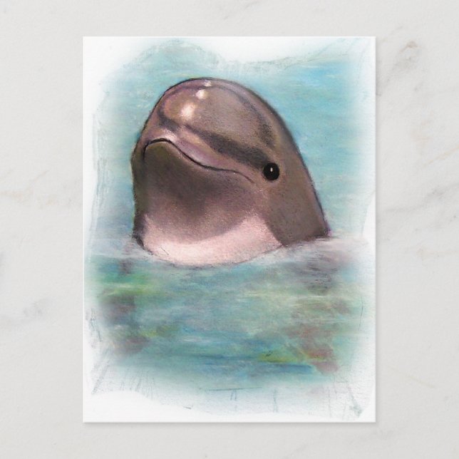 HAPPY DOLPHIN POSTKARTE (Vorderseite)