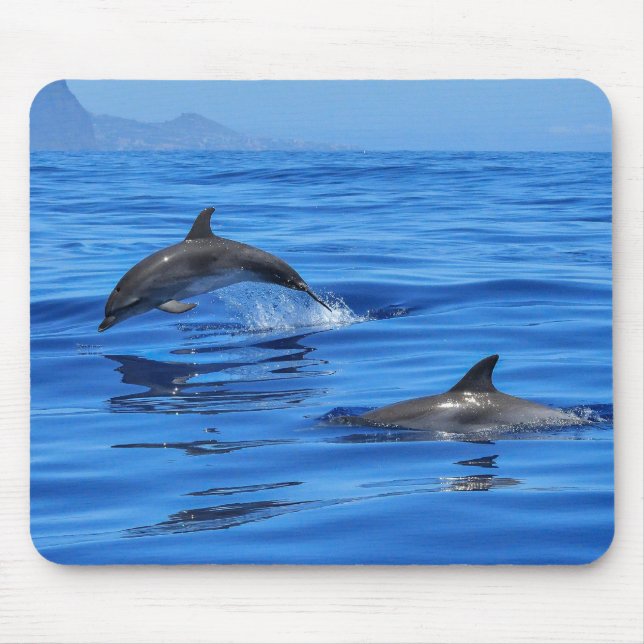 Happy Dolphins Mousepad (Vorne)