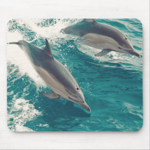 Happy Dolphins Mousepad