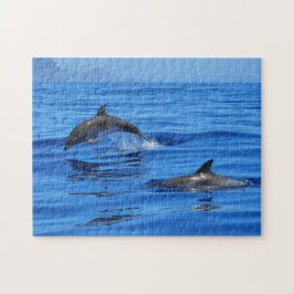 Happy Dolphins Puzzle