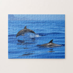 Happy Dolphins Puzzle