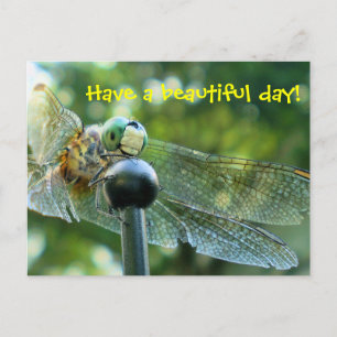 Happy Dragonfly Postkarte