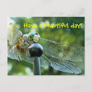 Happy Dragonfly Postkarte