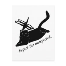 Happy Dragonfly, wütende Katze erwartet das Unerwa