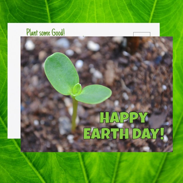 Happy Earth Day Seedling New Growth Postkarte (Von Creator hochgeladen)