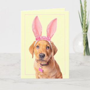 Happy Easter Adorable Labrador Puppy in Bunny Ears Feiertagskarte
