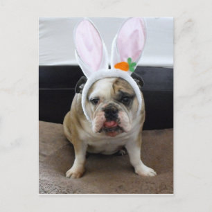 Happy Easter Feiertagspostkarte