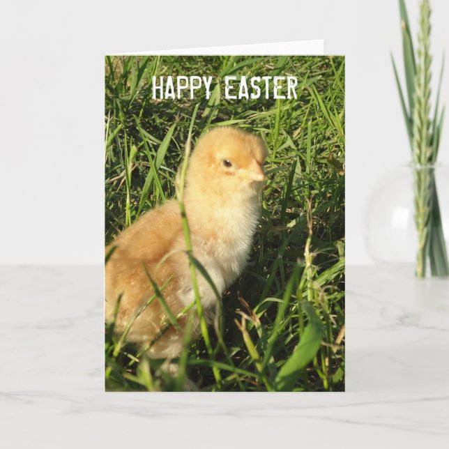 Happy Easter Little Chick Card Feiertagskarte (Vorderseite)