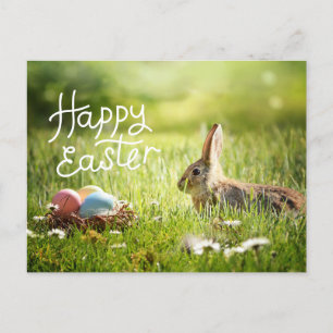 Happy Easter Niedlich Bunny mit farbenfrohen Oster Postkarte