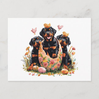 Happy Easter Rottweiler Dogs Feiertagspostkarte
