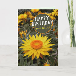 Happy Energy Paper Daisy Blume Happy Birthday Karte