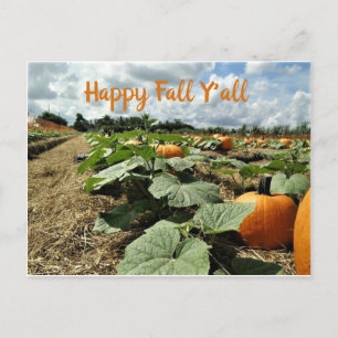 Happy Fall Pumpkins in einem Patch-Foto Postkarte