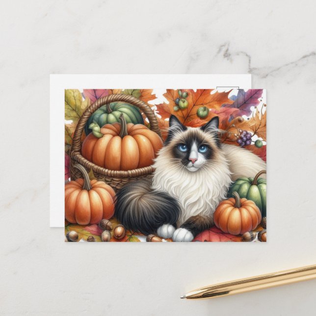 Happy Fall Ragdoll Katze Herbstkarte Postkarte (Vorderseite/Rückseite Beispiel)