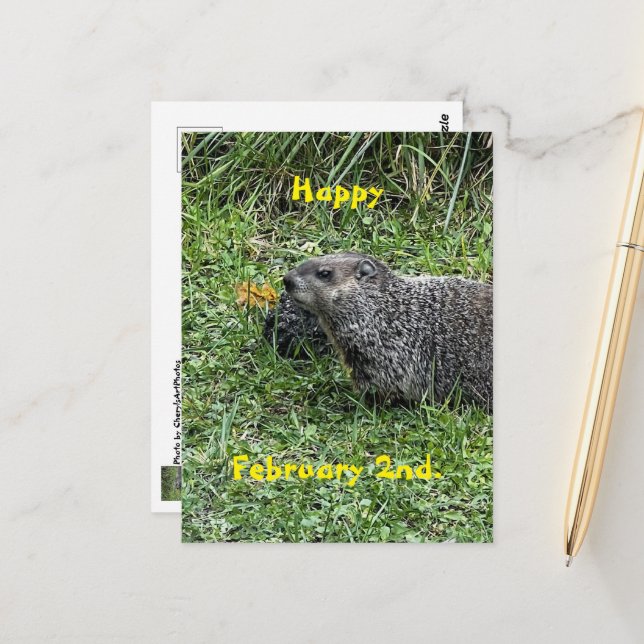 Happy February 2nd Custom Groundhog Postcards Postkarte (Vorderseite/Rückseite Beispiel)