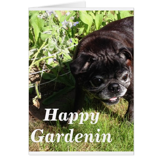 Happy Gardenin (Vorne)