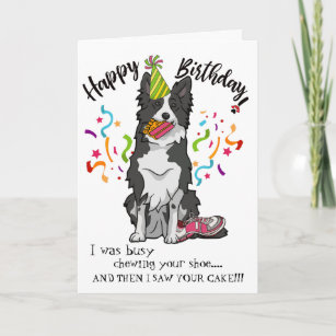 Happy Geburtstag Ihre Grenz Collie Hund Pink Schuh Karte