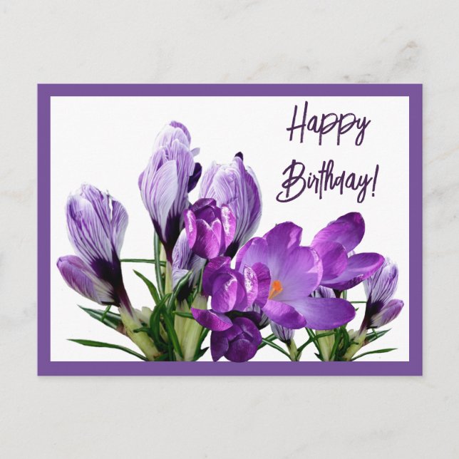 Happy Geburtstag lila Crocuses Blume boho niedlich Postkarte (Vorderseite)