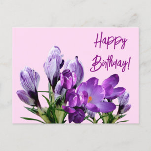 Happy Geburtstag lila Crocuses Blume boho niedlich Postkarte
