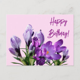 Happy Geburtstag lila Crocuses Blume boho niedlich Postkarte