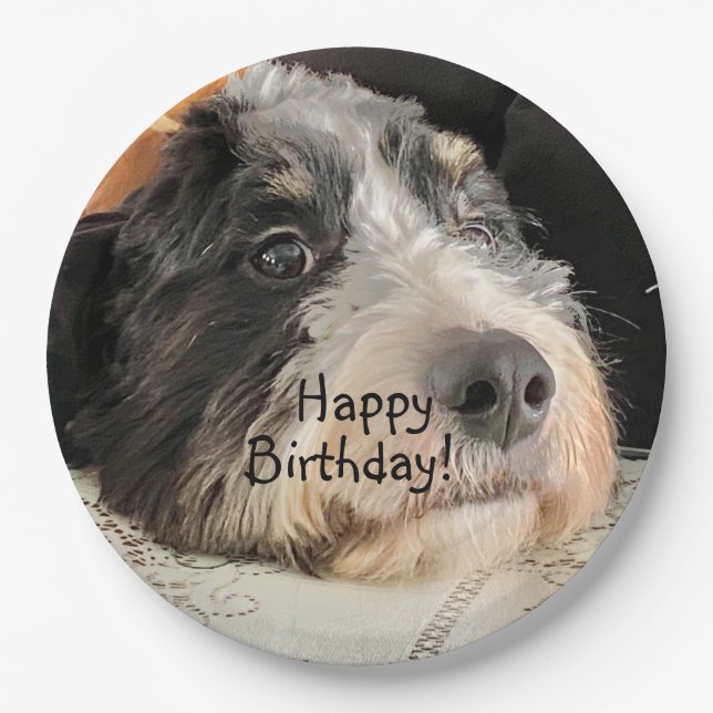 Happy Geburtstag Niedlich Bernedoodle Pappteller (Vorderseite)