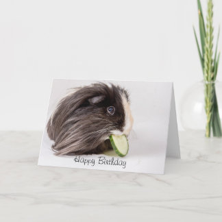 Happy Geburtstagskarte niedliche Guinea Schweinefr Karte