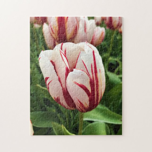 Happy Generation Tulip Puzzle (Vertikal)