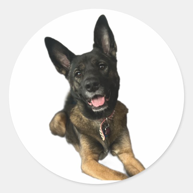 Happy German Shepard style dog sticker (Vorderseite)