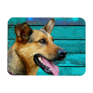 Happy German Shepherd Dog Magnet