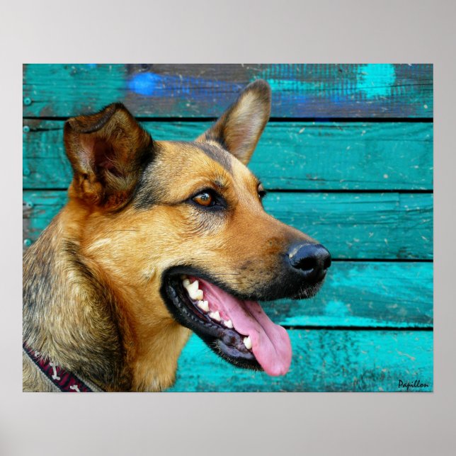 Happy German Shepherd Dog Poster (Vorne)
