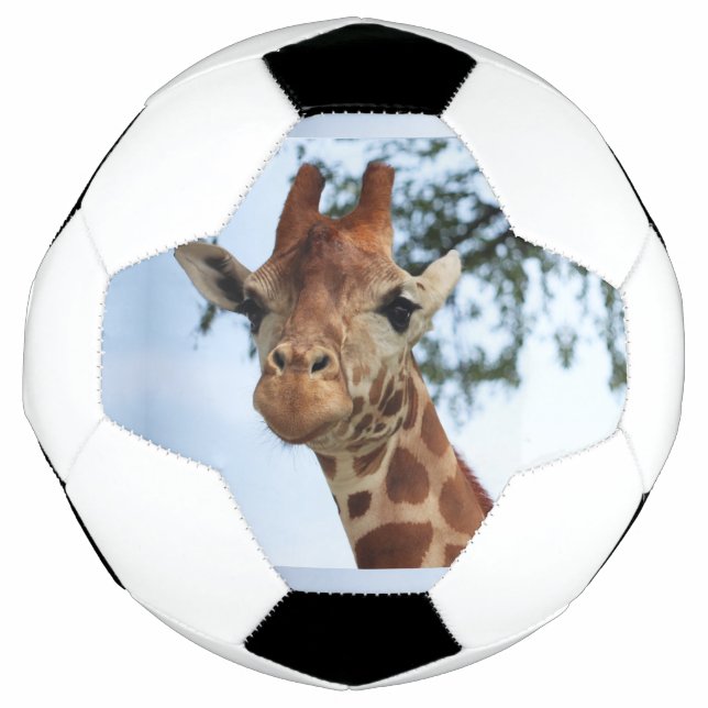 Happy Giraffe Nah Up Wildlife Safari Fußball (Vorderseite)