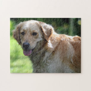 Happy Golden Retriever Dog Jigsaw Puzzle