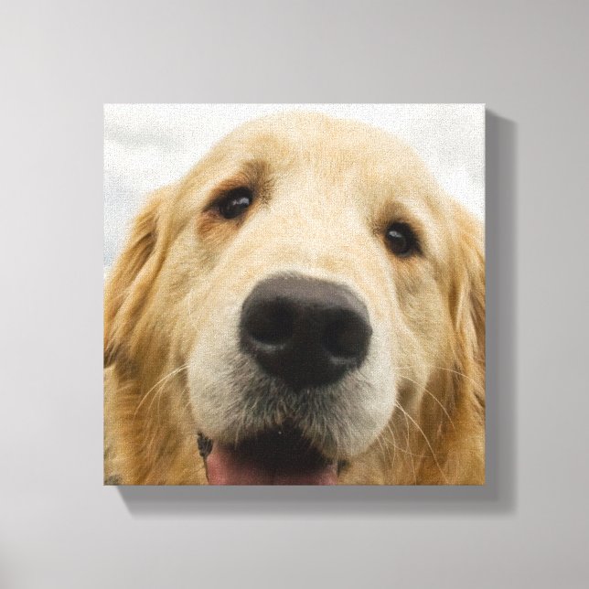 Happy Golden Retriever Leinwanddruck (Vorderseite)