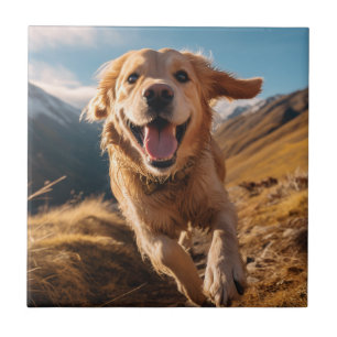 Happy Golden Retriever Running Fliese