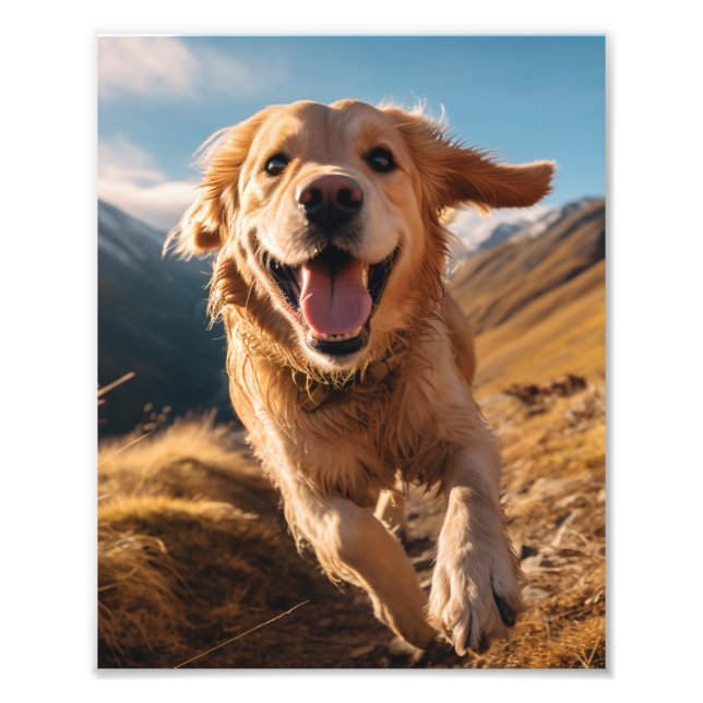 Happy Golden Retriever Running Fotodruck (Vorne)