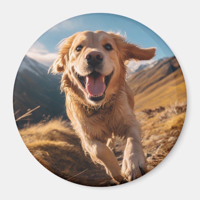 Happy Golden Retriever Running Magnet (Vorne)