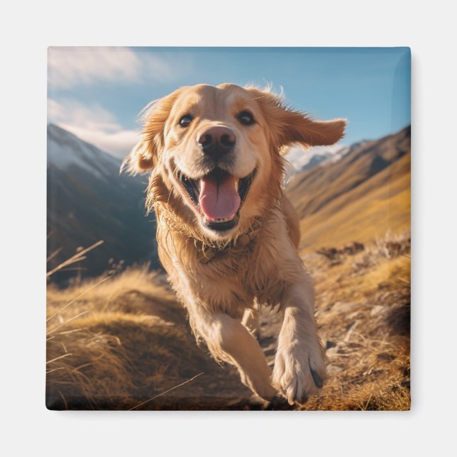 Happy Golden Retriever Running Magnet (Vorne)