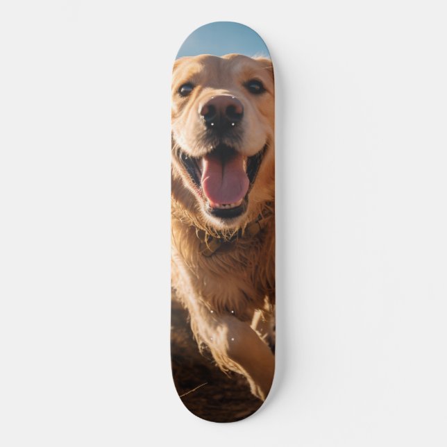 Happy Golden Retriever Running Skateboard (Vorderseite)